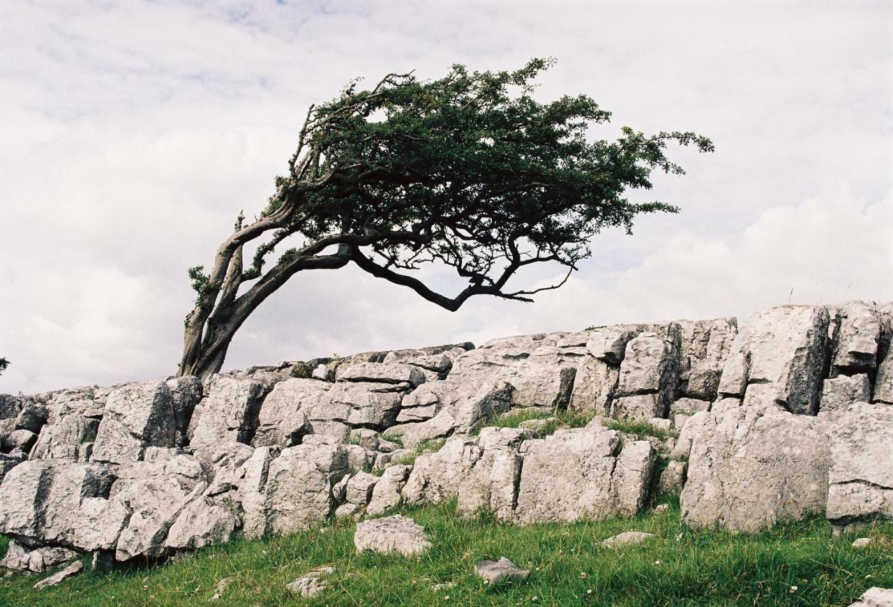 Dugdales Cottage Settle Dış mekan fotoğraf